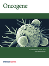 Image on the cover of the journal containing the article (2022) Oncogene </em> 41: 4333–4335  doi: 10.1038/s41388-022-02424-5